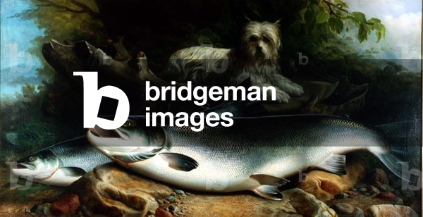 Guarding the Day's Catch; a Skye Terrier with a Cock and Hen Salmon