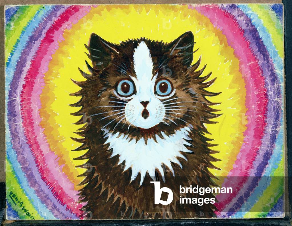 Cat in a Rainbow (w/c & gouache on paper)