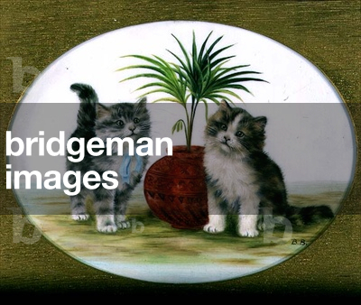 Kittens by a Palm in a Bowl