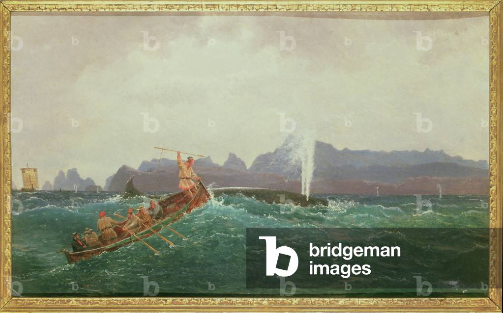 A Whaling Scene