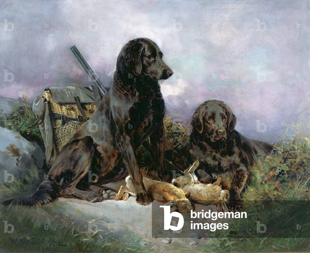 After the Shoot, 1895