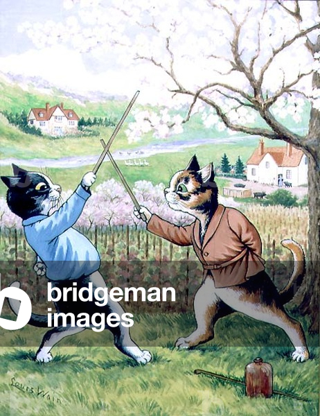 Cats Fencing