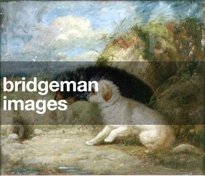 Terriers by a Rabbit Hole