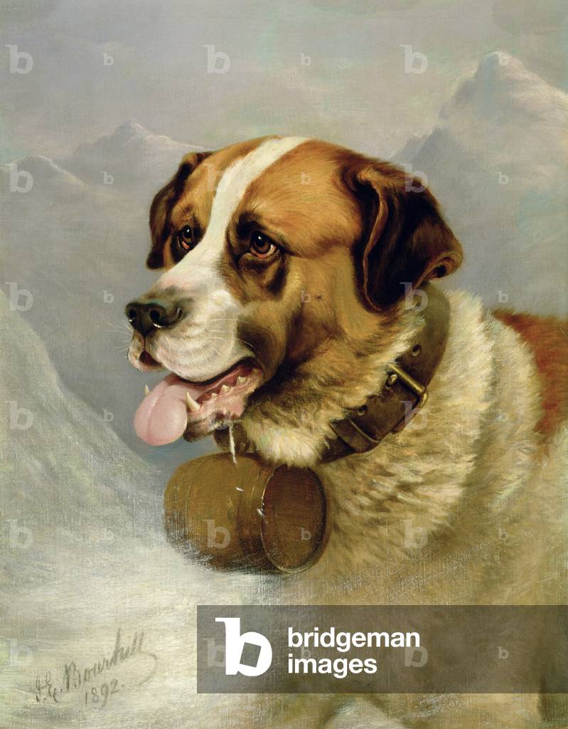 A Portrait of a St. Bernard in an Alpine Landscape (oil on canvas)