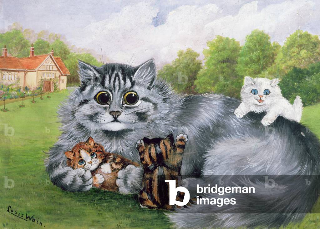 Cat and her Kittens