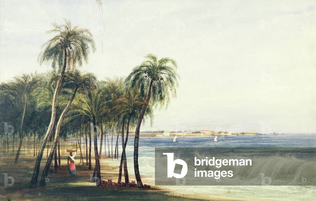 A View of Colombo, Ceylon