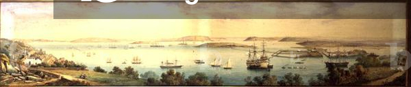 A Panoramic View of the Cove of Cork