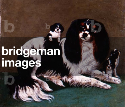 A King Charles Spaniel Family, Provincial School