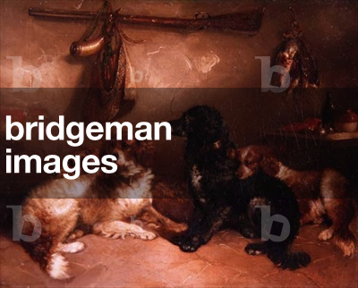 After the Shoot - A Quartet of Spaniels