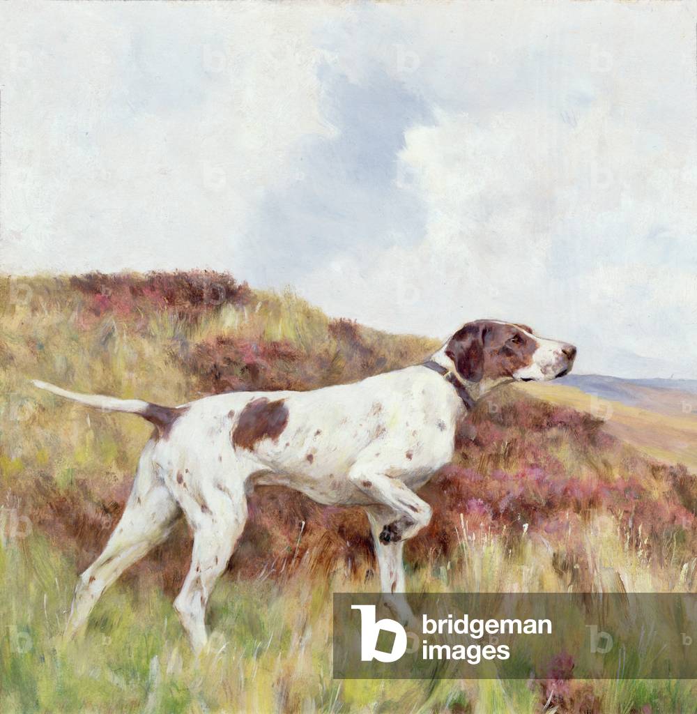 A Pointer (oil on board)