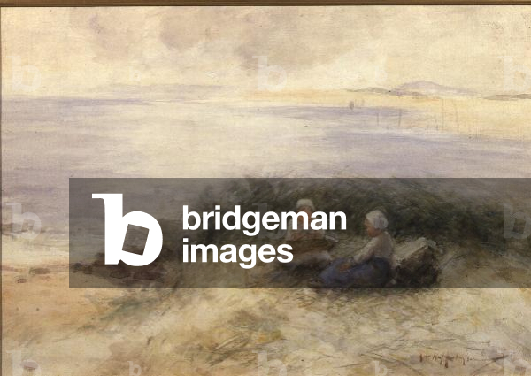 A Summer Sea