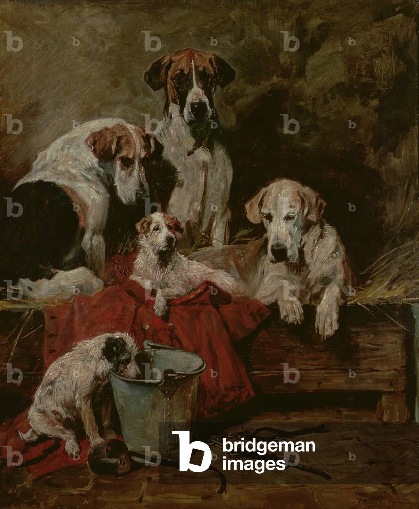 Kennel Companions