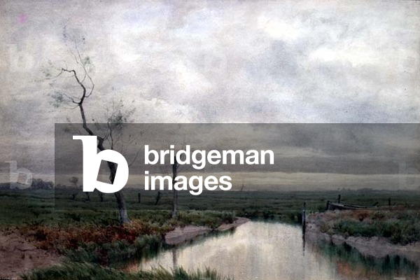 Coastal Marshlands (w/c)