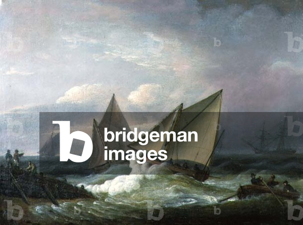 A Breezy Day