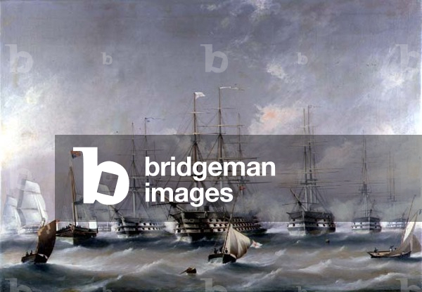 Naval Review