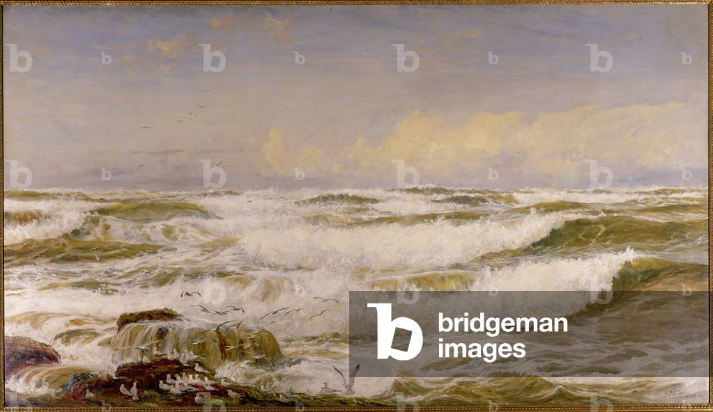 A Whole Gale of Wind