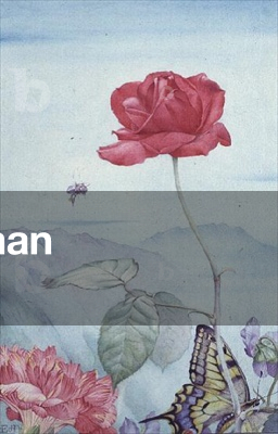 Study of flowers and insects