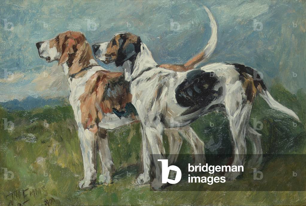 Pair of Foxhounds, 1900 (board)