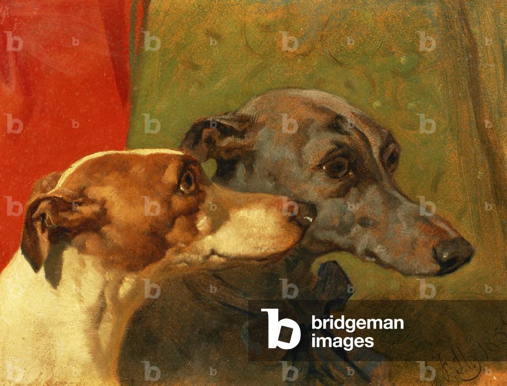 The Greyhounds 'Charley' and 'Jimmy' in an Interior