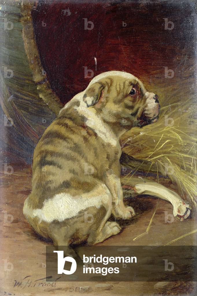 Give a Dog a Bone, 1888 (board)
