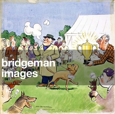 Lighting Up at the Dog Show