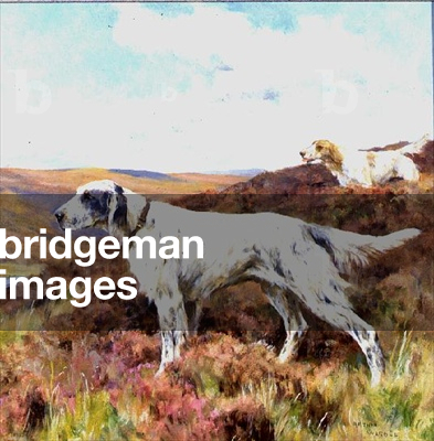 English Setters (oil on board)