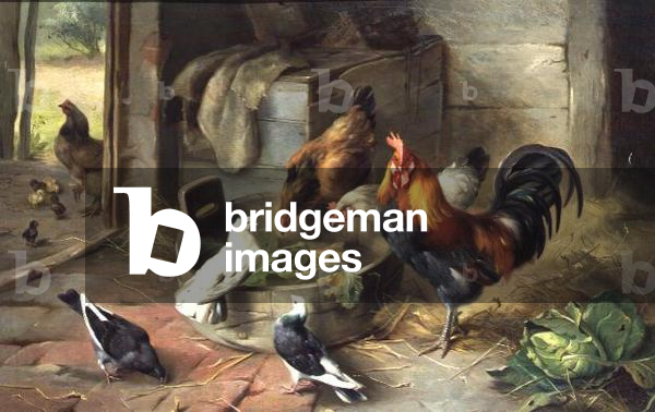 Pride of the Barn, 1899