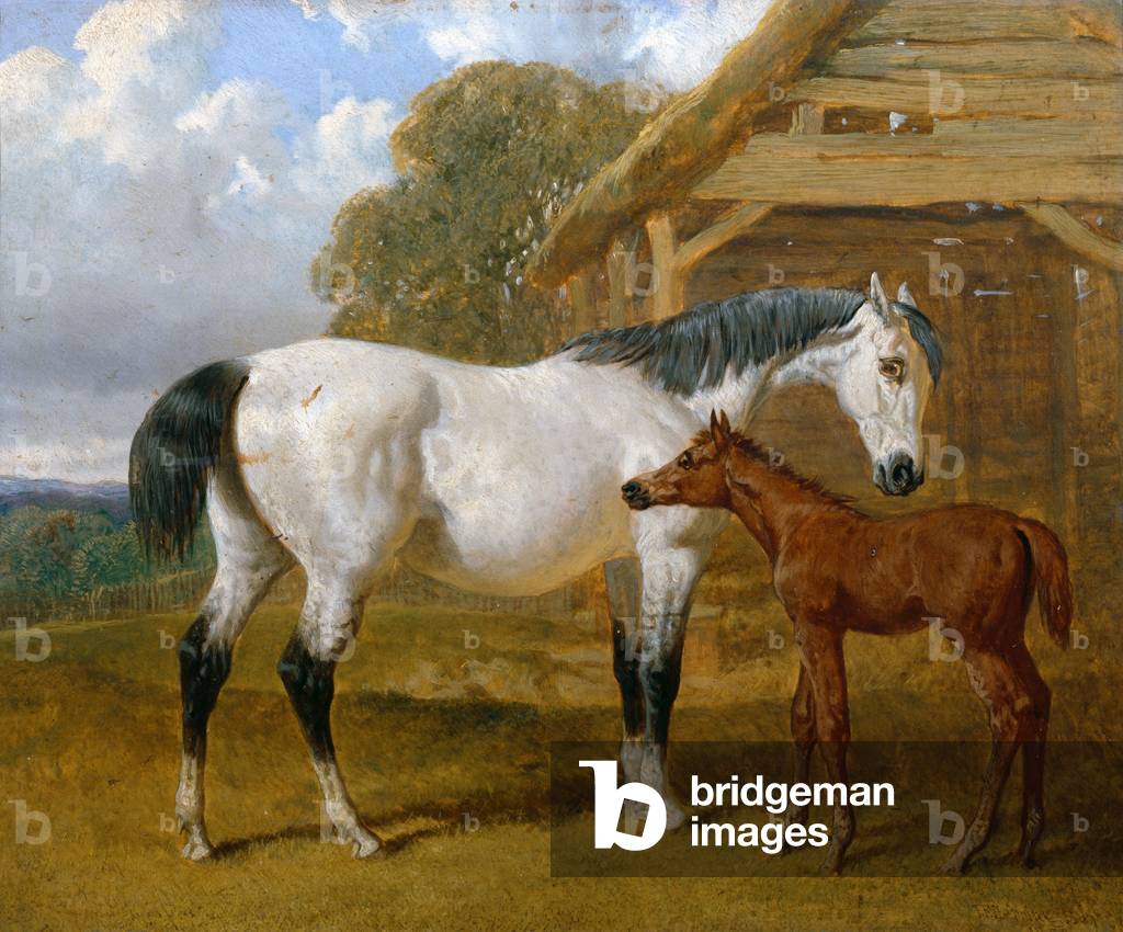 A Mare and Foal before a Barn, 1854 (oil on board)