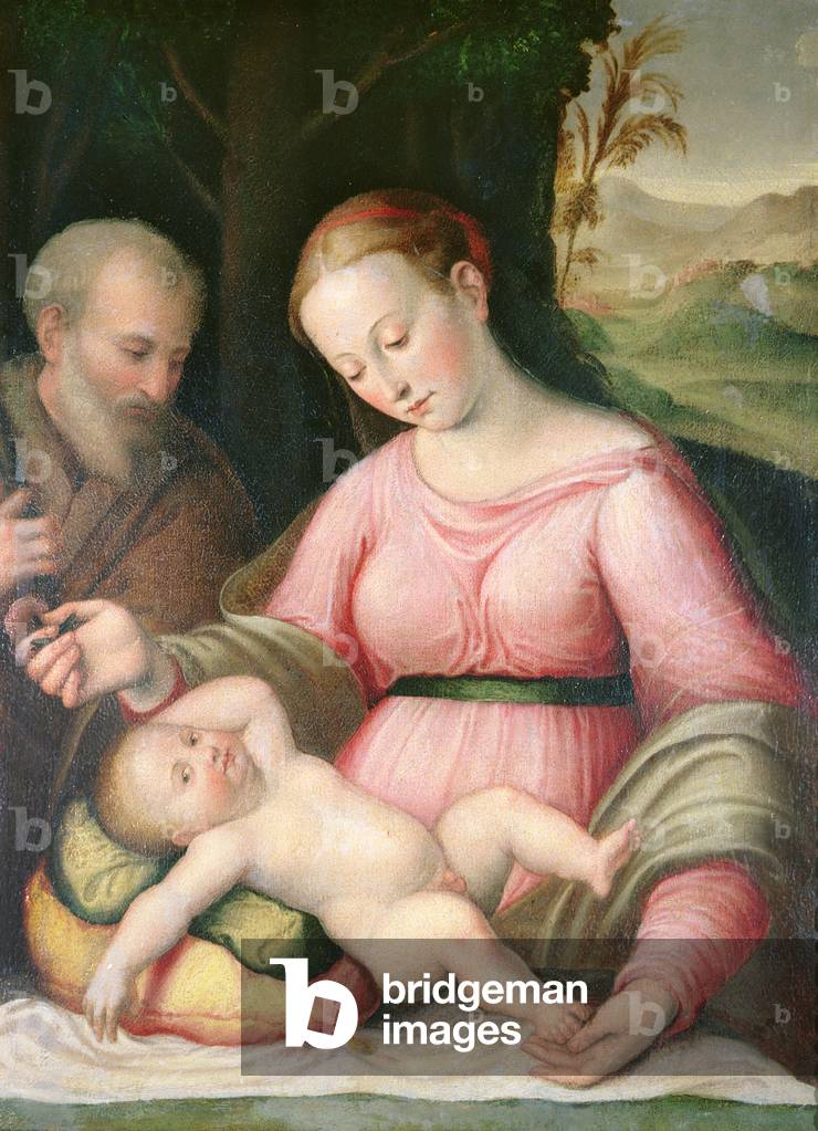 The Holy Family in a Mountainous Landscape