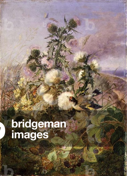 A Goldfinch and a Butterfly amongst Thistles and Blackberry Blossom, 1863