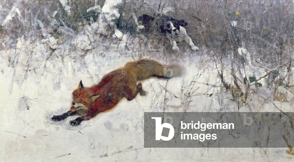 Fox Being Chased through the Snow