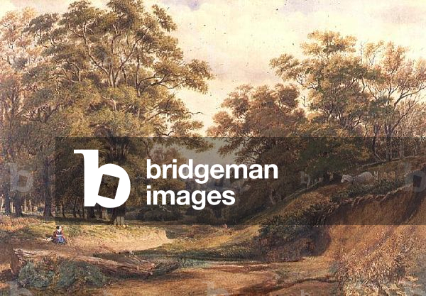 A Scene in Bagley Wood near Oxford (w/c and bodycolour)