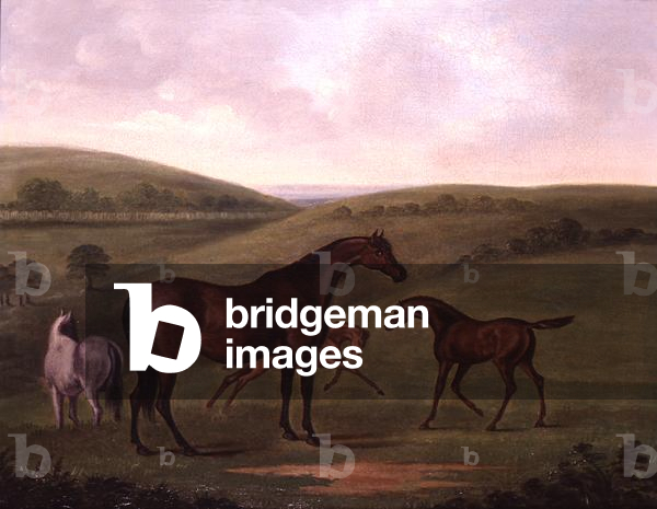Mare with Foals in a Landscape (oil on canvas)