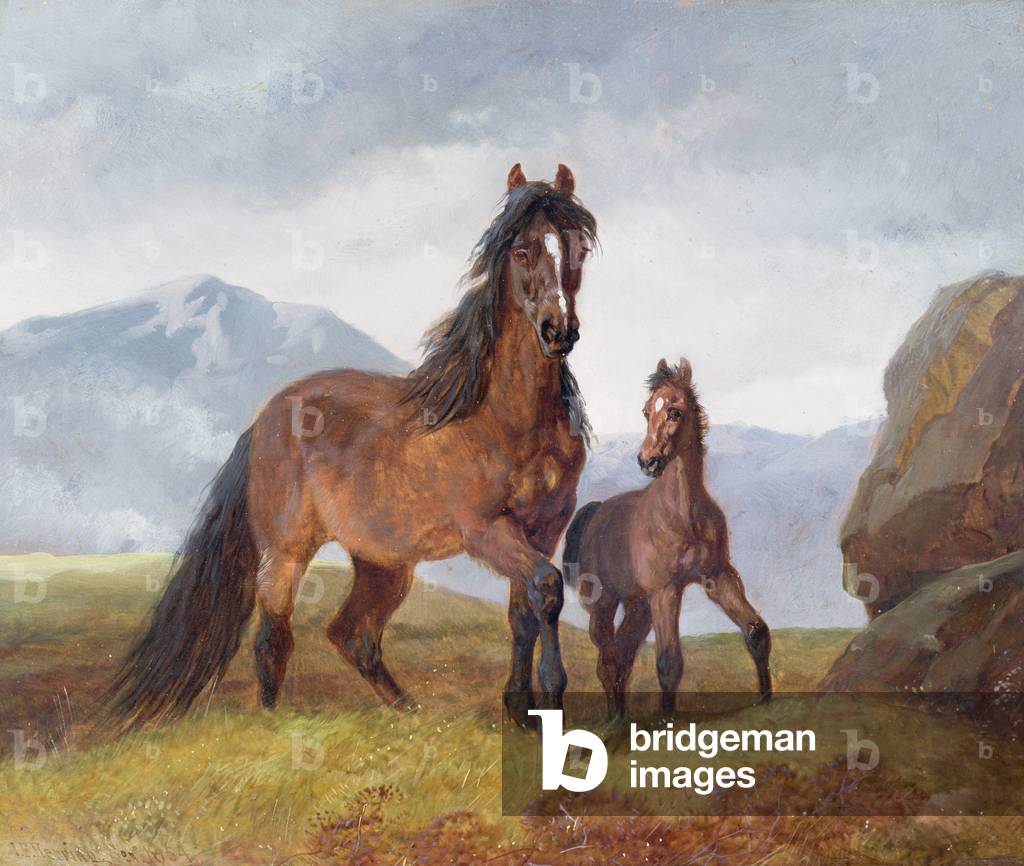 A Welsh Mountain Mare and Foal, 1854 (panel)