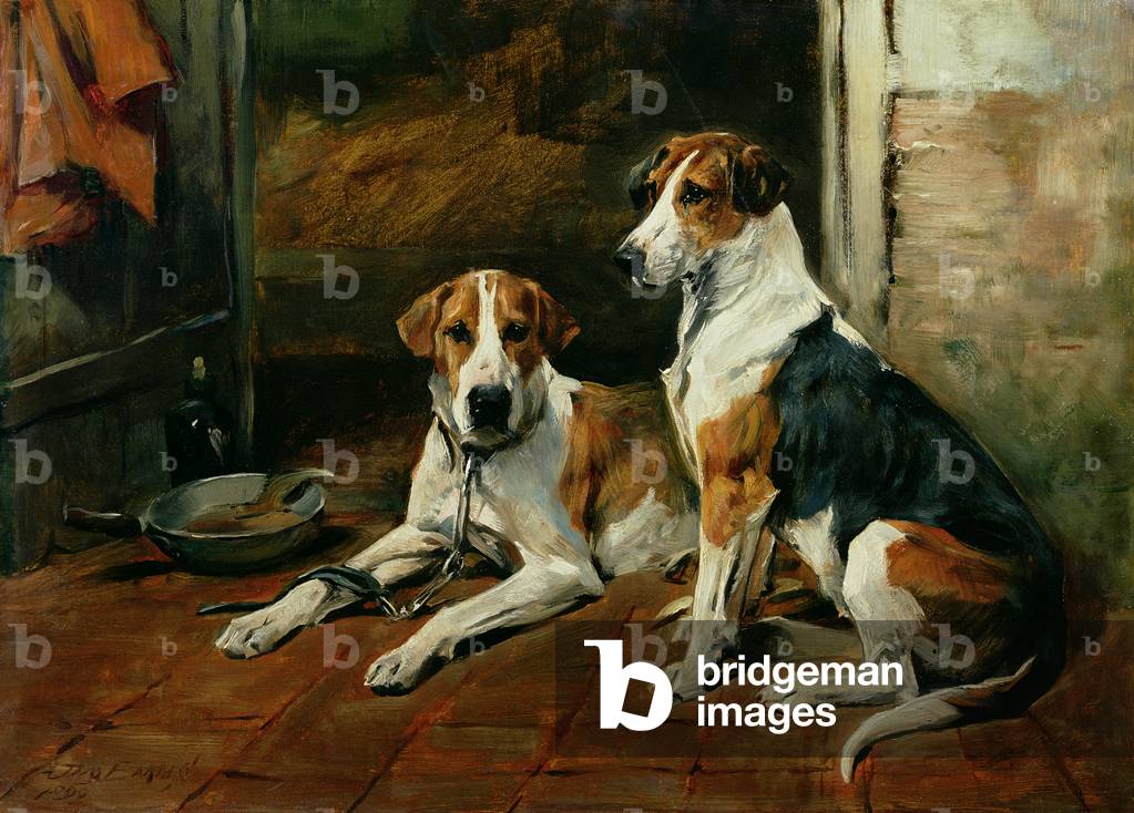 Hounds in a Stable Interior