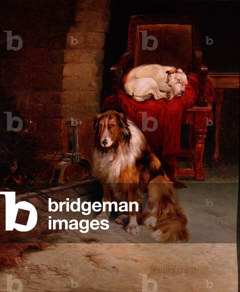 By The Fireside
