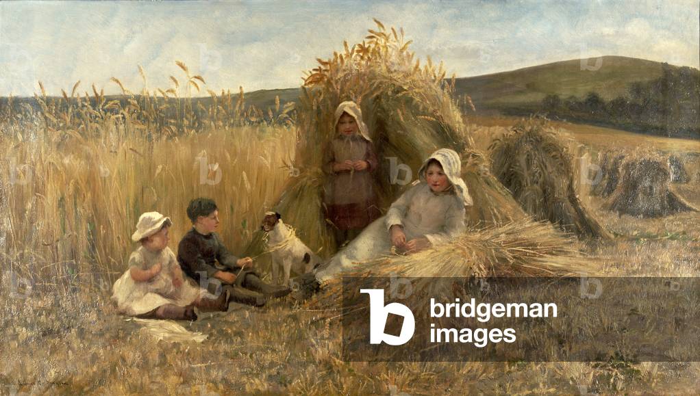 Young Harvesters