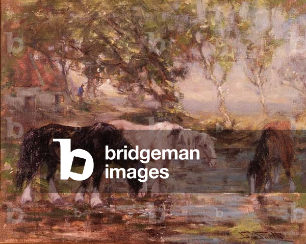 Horses at a Pool
