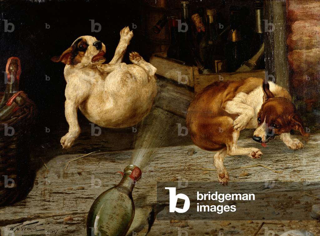 A Surprising Result, 1887 (one of a pair)