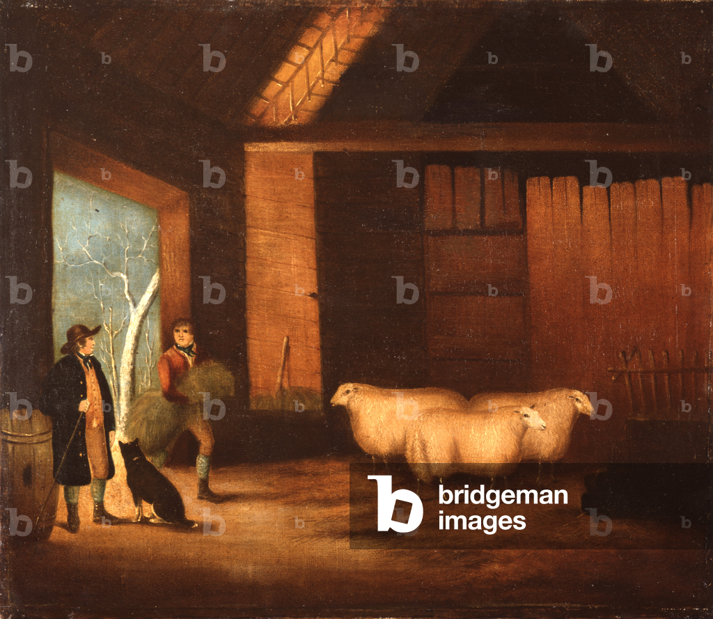 Feeding the Sheep (oil on canvas)