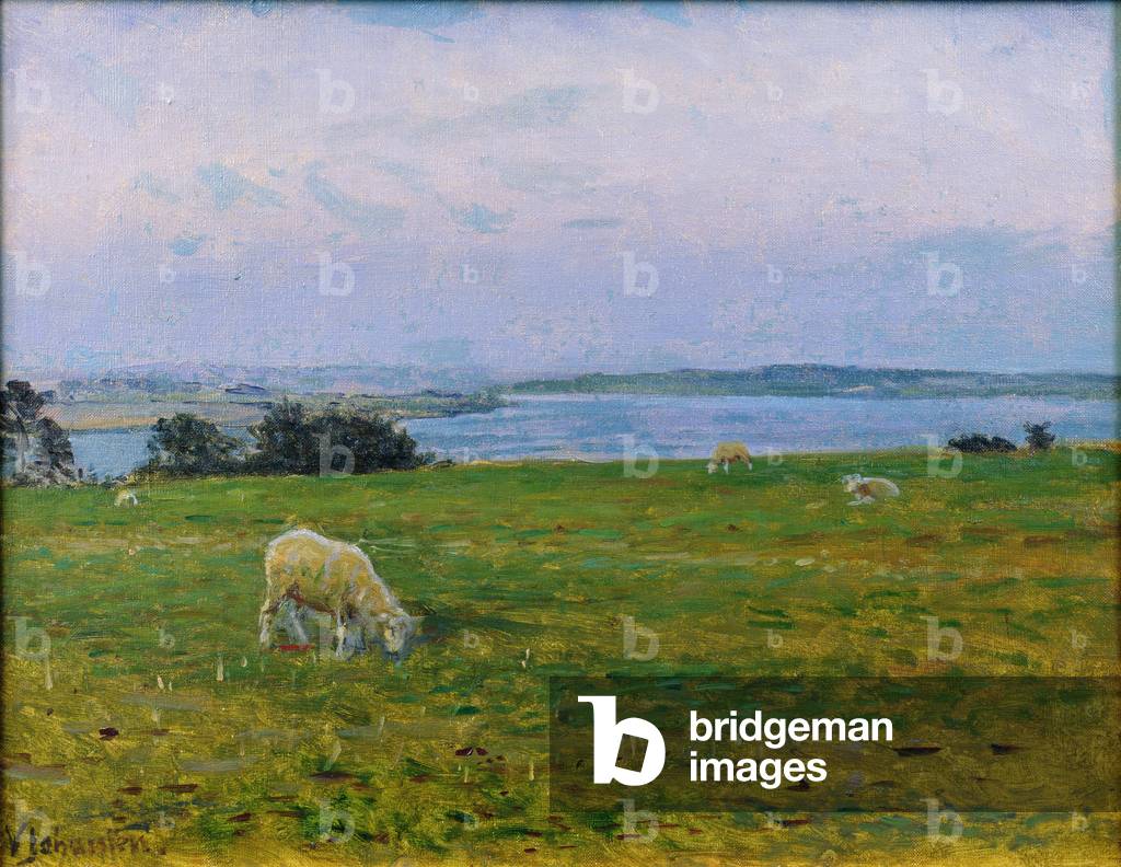 Sheep Grazing, Osterby, Skagen (oil on canvas)