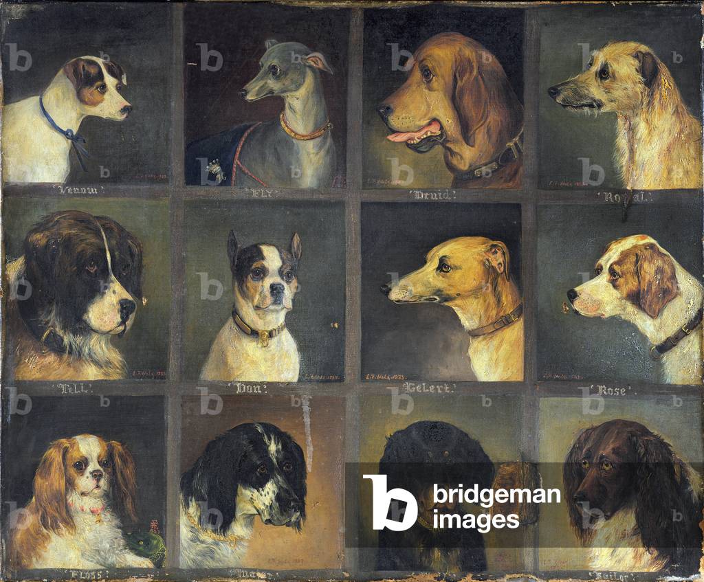 Twelve Favourite Dogs, 1883