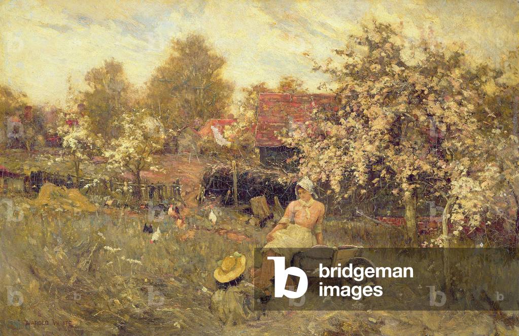 In the Orchard