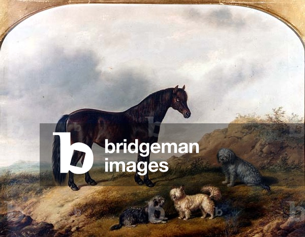 A Pony and three Terriers in a landscape, 1853