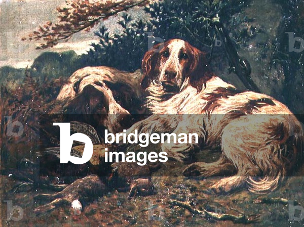 A Pair of Liver and White Clumber Spaniels by the Day's Bag