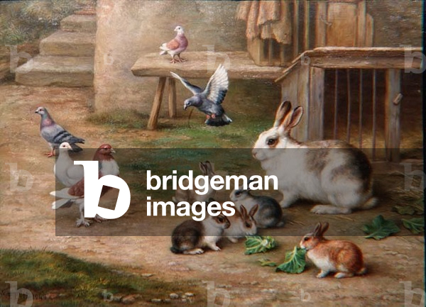 Rabbits, 1949 (oil on canvas board) (for pair see 70861)