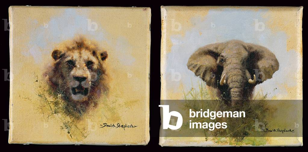 Lion and Bull Elephant, both 1981 (oil on canvas)