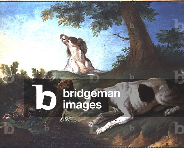 Spaniels putting up a partridge, 1772