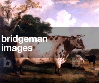 A Shorthorn Bull in a Landscape, 1841 (oil on canvas)
