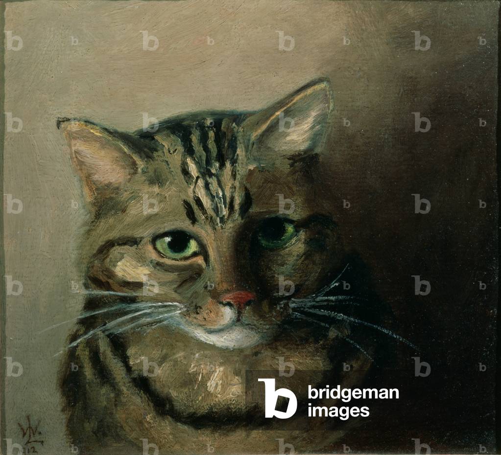 A Head Study of a Tabby Cat